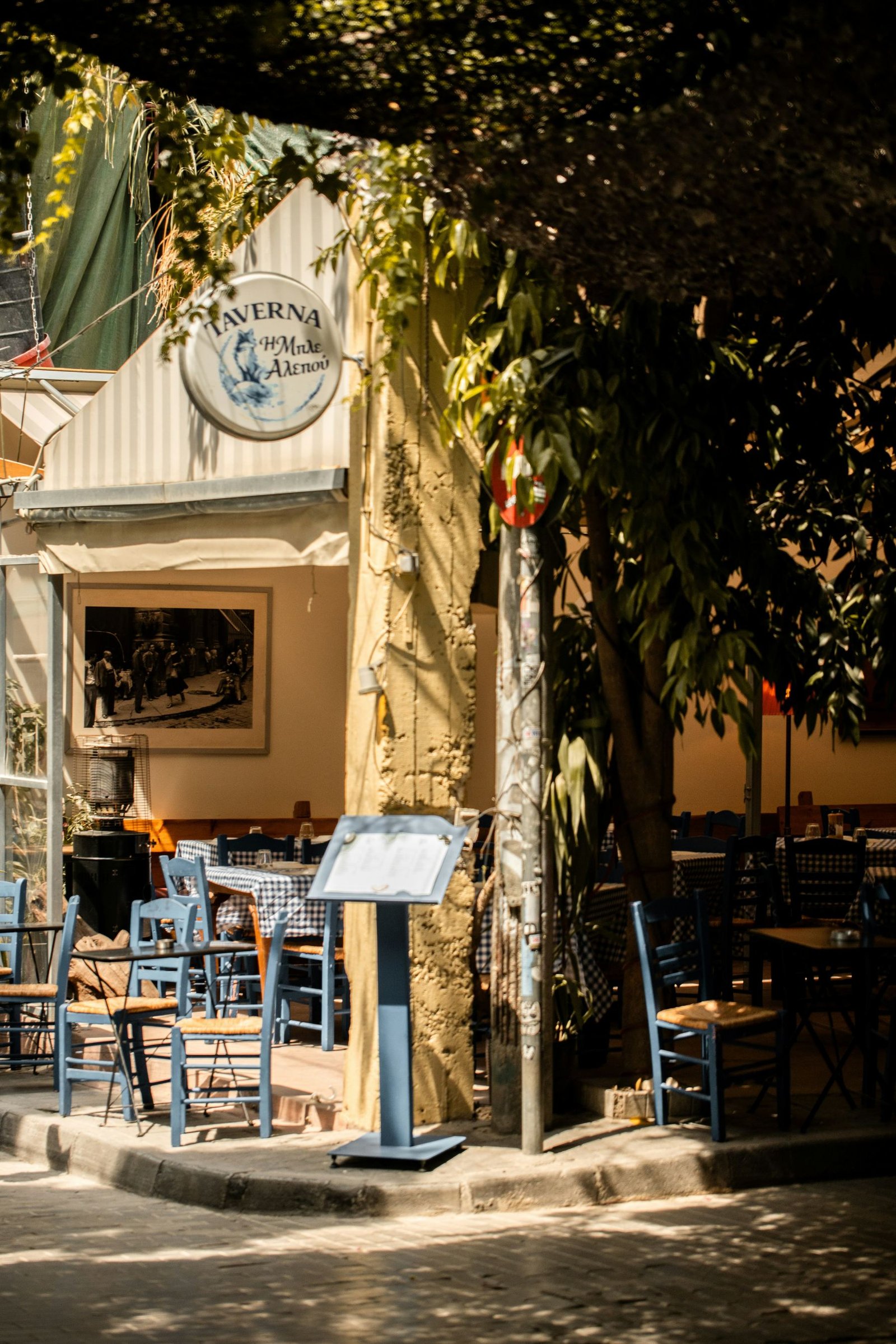 Εξωτερικός χώρος του Elaia Restaurant
